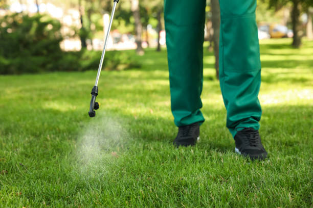 Best Emergency Pest Control  in New Madison, OH
