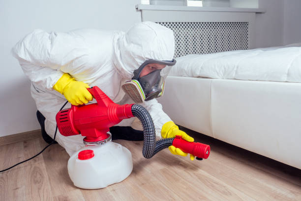 Best Affordable Pest Control Services  in New Madison, OH