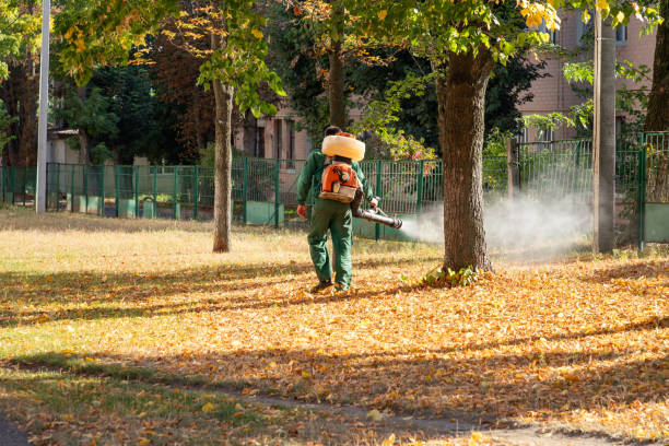 Best Pest Inspection Near Me  in New Madison, OH