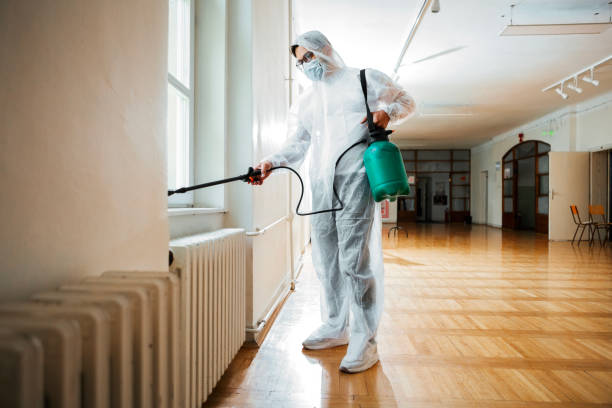 Best Cockroach Control Services  in New Madison, OH